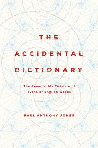 The Accidental Dictionary book cover by Paul Anthony Jones