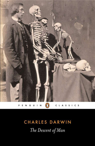 The Descent of Man book cover by Charles Darwin