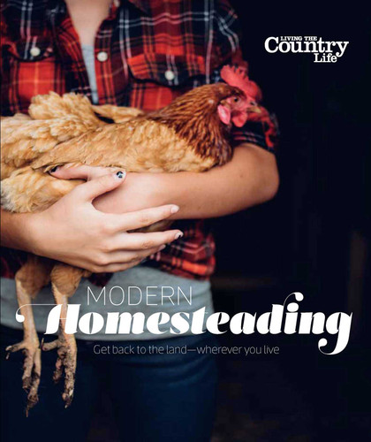 Modern Homesteading book cover by Living the Country Life