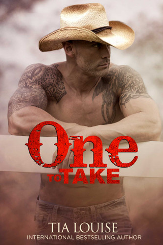 One to Take: One to Hold, Book 8 (One to Hold) book cover by Tia Louise