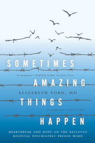 Sometimes Amazing Things Happen: Heartbreak and Hope on the Bellevue Hospital Psychiatric Prison Ward book cover by Elizabeth Ford