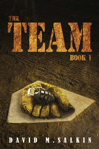 The Team: Book One (The Team) book cover by David  Salkin