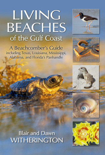 Living Beaches of the Gulf Coast: A Beachcombers Guide including Texas, Louisiana, Mississippi, Alabama and Florida's Panhandle book cover by Blair Witherington, Dawn Witherington