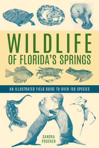 Wildlife of Florida's Springs: An Illustrated Field Guide to Over 150 Species book cover by Sandra Poucher