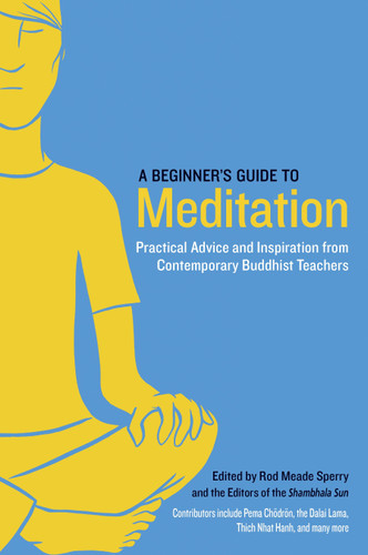A Beginner's Guide to Meditation: Practical Advice and Inspiration from Contemporary Buddhist Teachers book cover by 