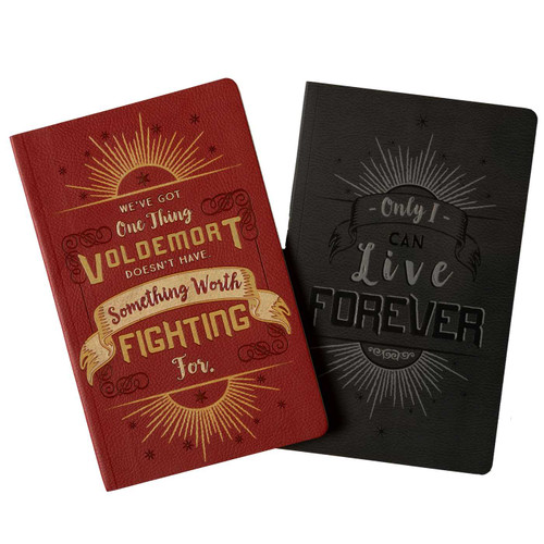 Harry Potter: Character Notebook Collection (Set of 2): Harry Potter and Voldemort (Harry Potter) book cover by Insight Editions