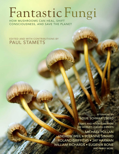 Fantastic Fungi: How Mushrooms Can Heal, Shift Consciousness, and Save the Planet (Fantastic Fungi) book cover by 