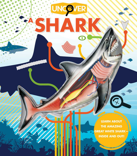 Uncover a Shark - Shark Book for Kids, 3-D Book for Ages 8-12 (Uncover) book cover by David George Gordon