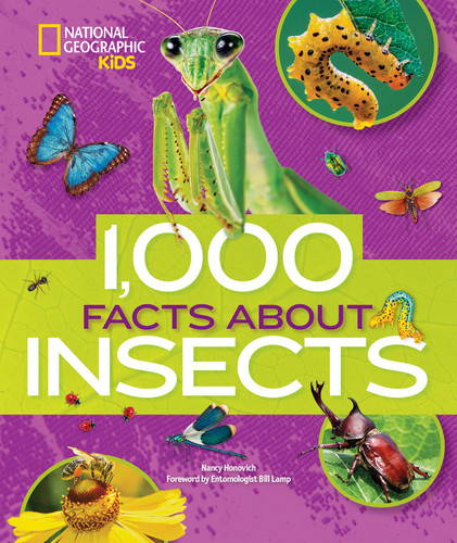 1,000 Facts About Insects (1,000 Facts About) book cover by Nancy Honovich