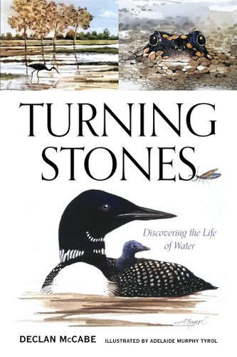 Turning Stones: Discovering the Life of Water book cover by Declan McCabe