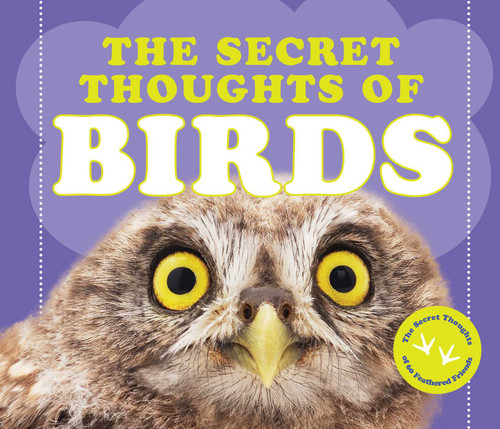 The Secret Thoughts of Birds (Secret Thoughts Series) book cover by CJ Rose