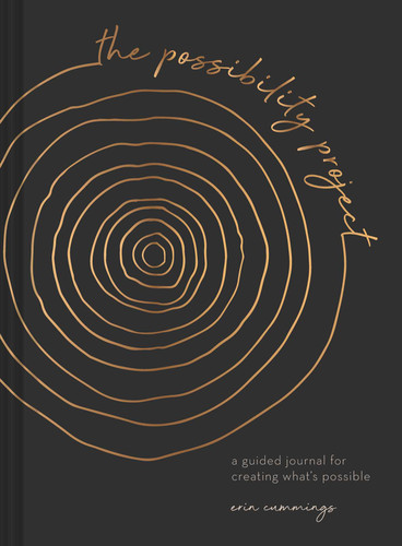 The Possibility Project: A Guided Journal for Creating What's Possible book cover by Erin Cummings