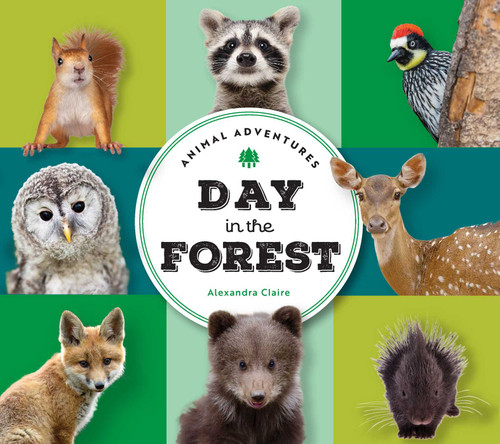 Animal Adventures: Day in the Forest (Animal Adventures) book cover by Alexandra Claire