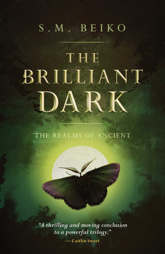 The Brilliant Dark: The Realms of Ancient, Book 3 (The Realms of Ancient) book cover by S.M. Beiko