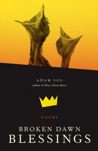 Broken Dawn Blessings: Poems book cover by Adam Sol