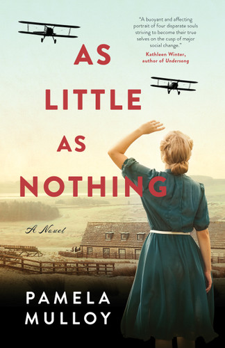 As Little As Nothing: A Novel book cover by Pamela Mulloy