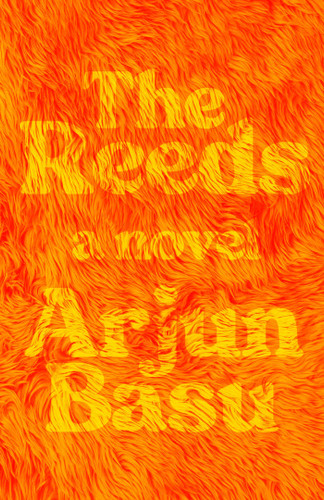 The Reeds: A Novel book cover by Arjun Basu