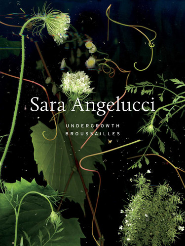Sara Angelucci: Undergrowth / Broussailles book cover by Shannon Anderson