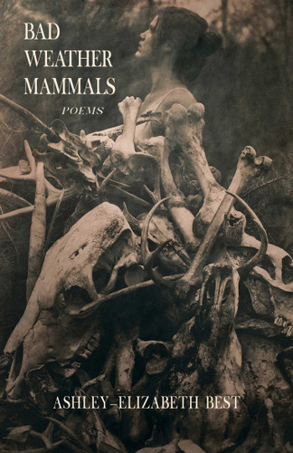 Bad Weather Mammals: Poems book cover by Ashley-Elizabeth Best
