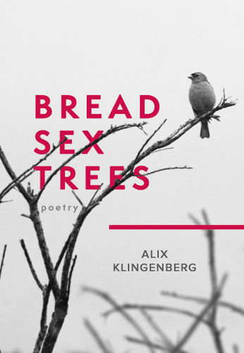 Bread Sex Trees: Poetry book cover by Alix Klingenberg