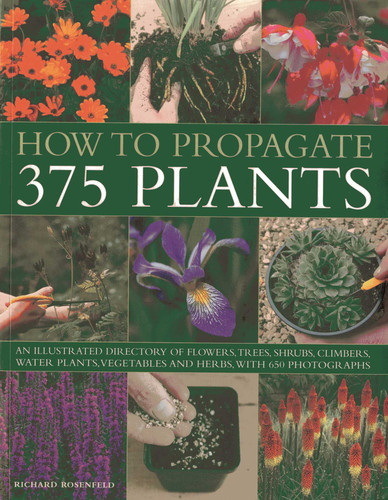 How to Propagate 375 Plants: An illustrated directory of flowers, trees, shrubs, climbers, water plants, vegetables and herbs, with 650 photographs book cover by Richard Rosenfeld