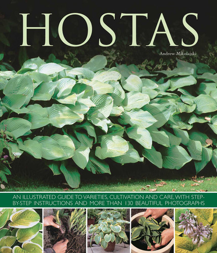 Hostas: An illustrated guide to varieties, cultivation and care, with step-by-step instructions and more than 130 beautiful photographs book cover by Andrew Mikolajski