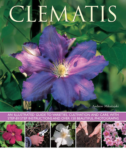 Clematis: An Illustrated Guide to Varieties, Cultivation and Care, with Step-By-Step Instructions and Over 150 Beautiful Photographs book cover by Andrew Mikolajski
