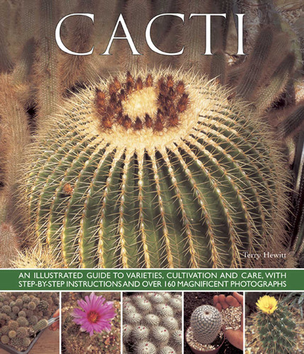 Cacti: An Illustrated Guide To Varieties, Cultivation And Care, With Step-By-Step Instructions And Over 160 Magnificent Photographs book cover by Terry Hewitt