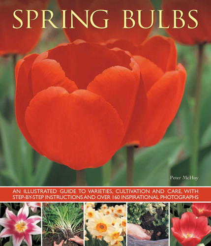 Spring Bulbs: An Illustrated Guide To Varieties, Cultivation And Care, With Step-By-Step Instructions And Over 160 Inspirational Photographs book cover by Peter McHoy