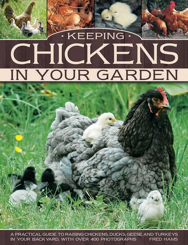 Keeping Chickens In Your Garden: A Practical Guide To Raising Chickens, Ducks, Geese And Turkeys In Your Backyard, With Over 400 Photographs book cover by Fred Hams