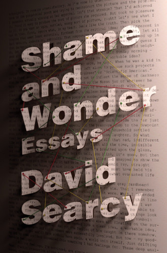 Shame and Wonder: Essays book cover by David Searcy