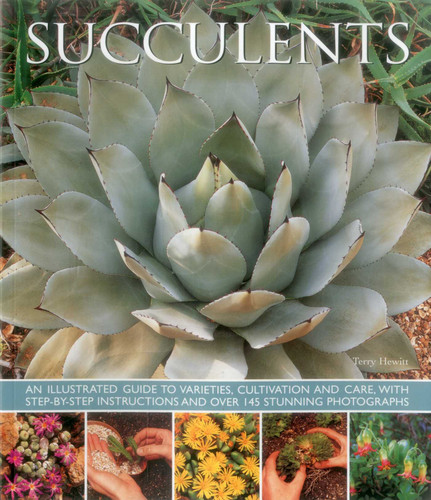 Succulents: An illustrated guide to varieties, cultivation and care, with step-by-step instructions and over 145 stunning photographs book cover by Terry Hewitt