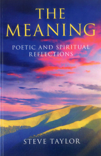 The Meaning book cover by Steve Taylor