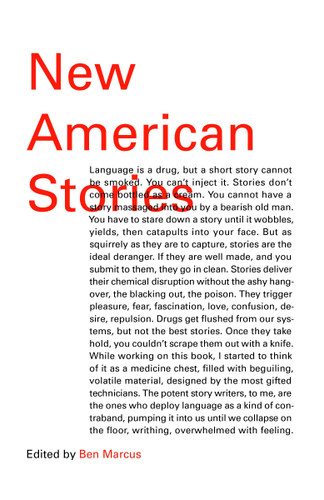 New American Stories (Vintage Contemporaries) book cover by 