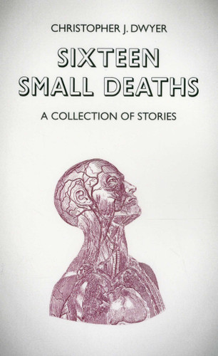 Sixteen Small Deaths: A Collection of Stories book cover by Christopher J. Dwyer