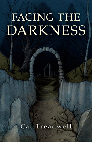 Facing the Darkness book cover by Cat Treadwell