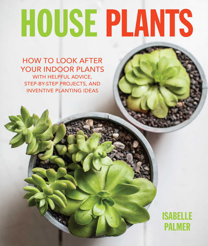 House Plants: How to look after your indoor plants: with helpful advice, step-by-step projects, and inventive planting ideas book cover by Isabelle Palmer