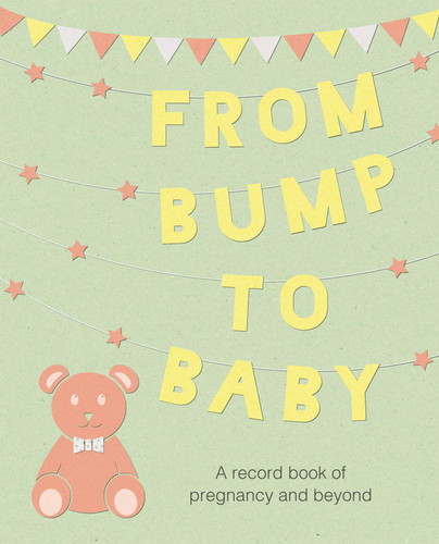 From Bump to Baby: A record book of pregnancy and beyond book cover by CICO Books