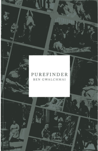 Purefinder book cover by Ben Gwalchmai
