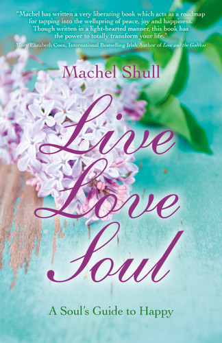 Live Love Soul: A Soul's Guide to Happy book cover by Machel Shull