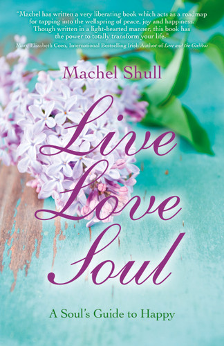Live Love Soul: A Soul's Guide to Happy book cover by Machel Shull