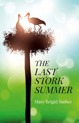 The Last Stork Summer book cover by Mary Brigid Surber