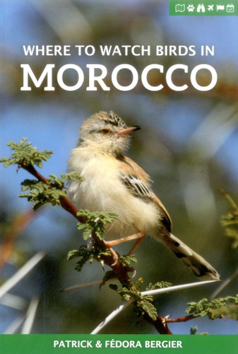Where to Watch Birds in Morocco book cover by Patrick Bergier, Fedora Bergier