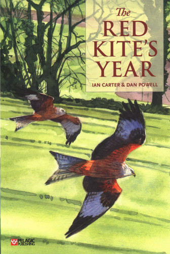 The Red Kite's Year book cover by Ian Carter, Dan Powell