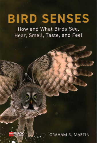 Bird Senses: How and What Birds See, Hear, Smell, Taste and Feel book cover by Graham Martin