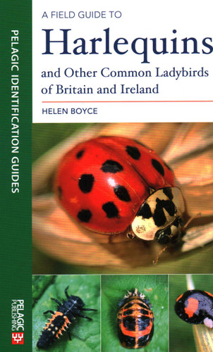 A Field Guide to Harlequins and Other Common Ladybirds of Britain and Ireland book cover by Helen Boyce