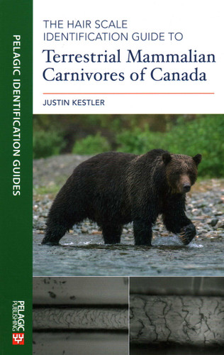 Hair Scale Identification Guide to Terrestrial Mammalian Carnivores of Canada book cover by Justin Kestler