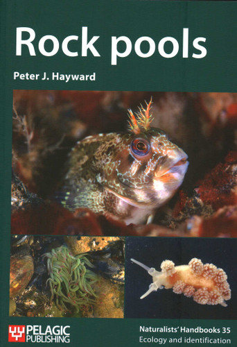 Rock Pools book cover by Peter J. Hayward