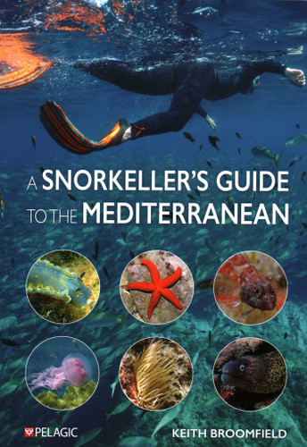 Snorkeller's Guide to the Mediterranean: A photographic ID guide to the most commonly encountered marine species book cover by Keith Broomfield