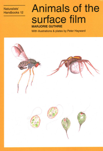 Animals of the surface film book cover by Marjorie Guthrie